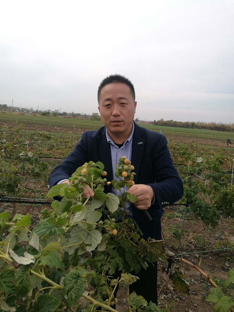 采摘園地